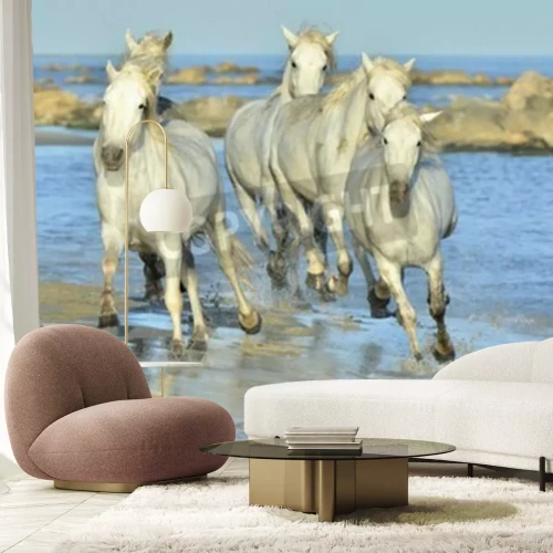Papier peint  Paysage marin avec des chevaux