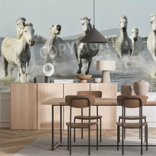 Papier peint  Chevaux blancs au galop