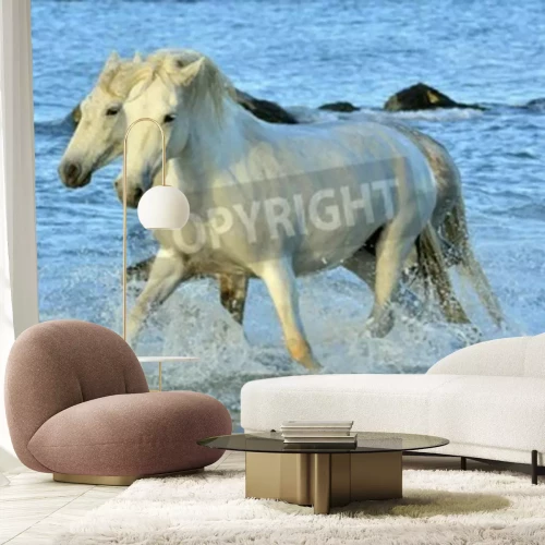 Papier peint  Chevaux blancs de Camargue
