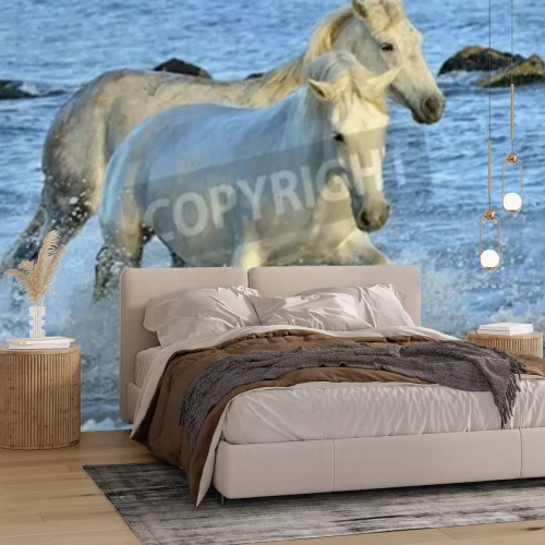 Papier peint  Chevaux blancs qui courent dans l'eau