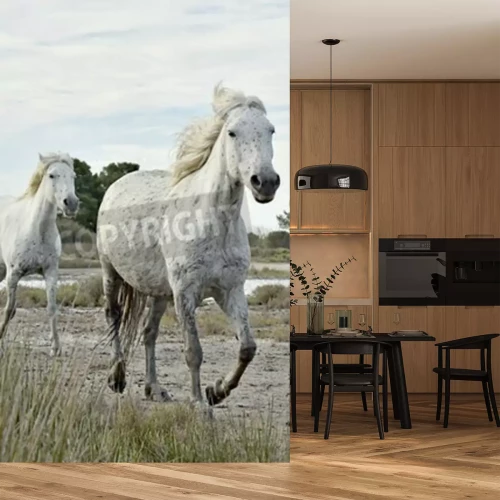 Papier peint  Chevaux au galop dans le parc national