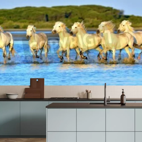 Papier peint  Troupeau de chevaux qui courent dans l'eau