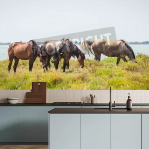 Papier peint  Camargue en Provence