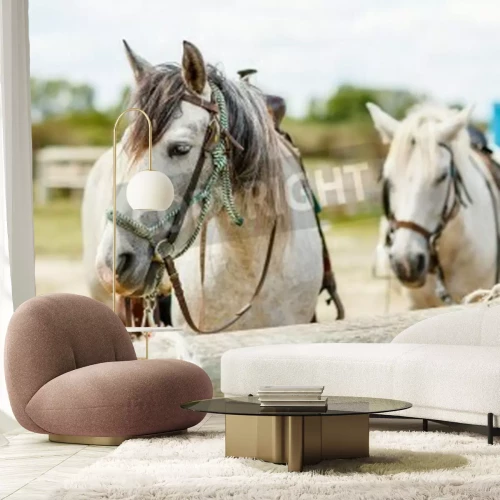 Papier peint  Chevaux sellés