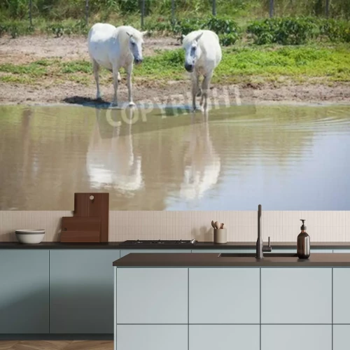 Papier peint  Chevaux blancs devant le lac