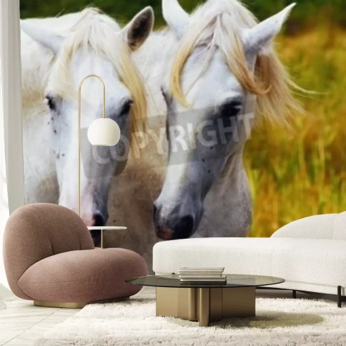 Papier peint  Deux chevaux dans les herbes