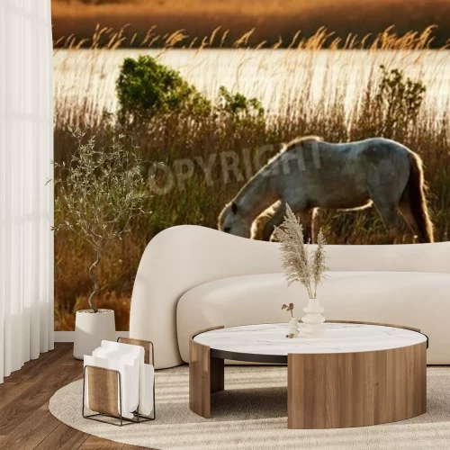 Papier peint  Cheval et oiseau blanc