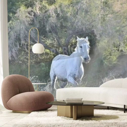 Papier peint  Petit cheval blanc avec des arbres en arrière-plan