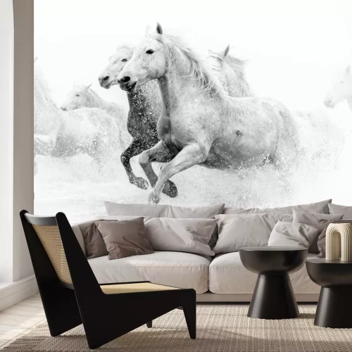 Papier peint  Chevaux au galop en noir et blanc
