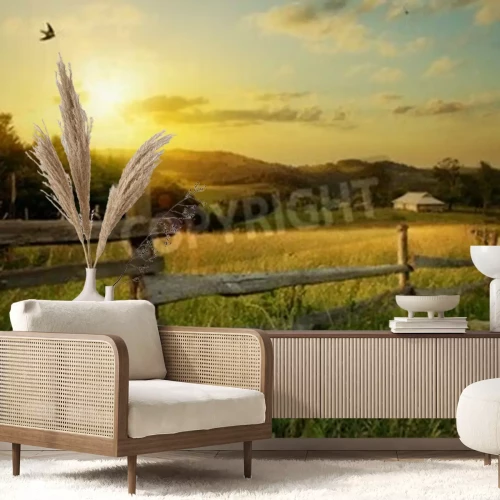 Papier peint  Lever de soleil à la campagne