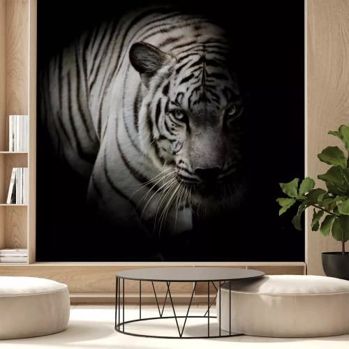 Sticker  Silhouette de tigre dans l'ombre