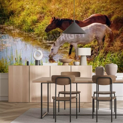 Papier peint  Chevaux qui boivent l'eau de la rivière