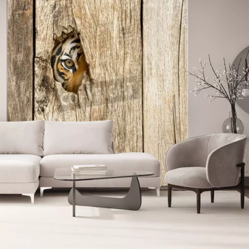 Papier peint  Tigre regardant à travers un trou