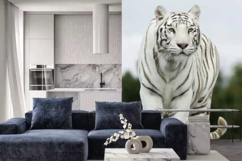 Visualisation du produit