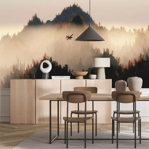 Papier peint  Avion sur fond de paysage forestier