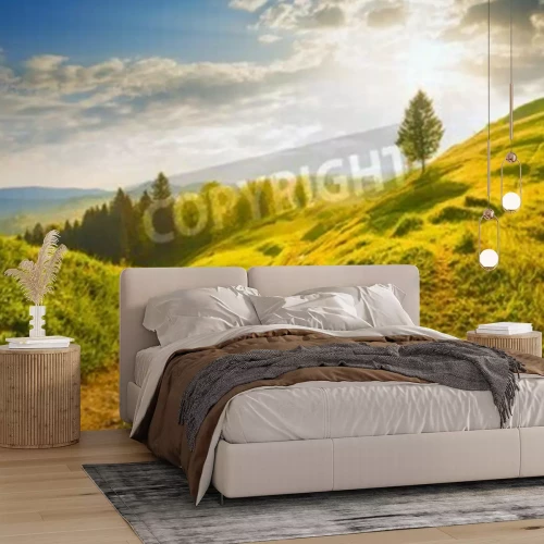 Papier peint  Lever de soleil sur une clairière