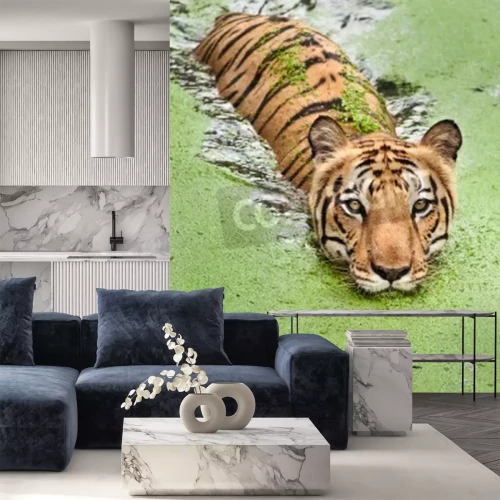 Papier peint  Tigre nageant dans les marécages
