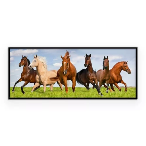 Poster  Des chevaux galopant contre le ciel