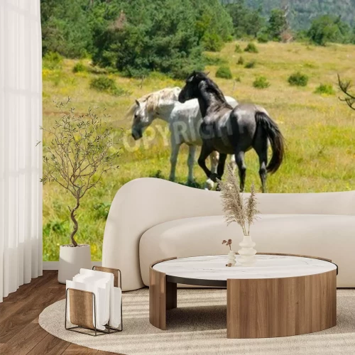 Papier peint  Chevaux qui courent dans l'herbe verte