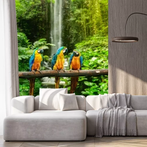Papier peint  Jungle perroquets colorés