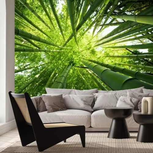 Papier peint  Fonds Nature Vert en bambou