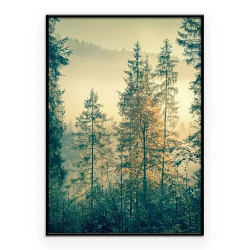 Poster  Arbres cachés dans le brouillard au lever du soleil matinal
