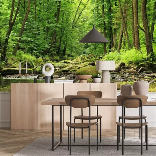 Papier peint  Rivière dans la forêt de printemps