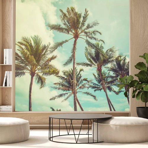 Papier peint  Palmiers sur fond de ciel vintage