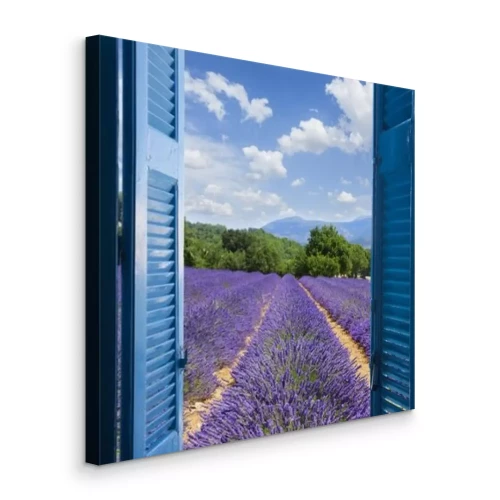 Tableau  Une vue à travers des volets bleus sur un champ de lavande