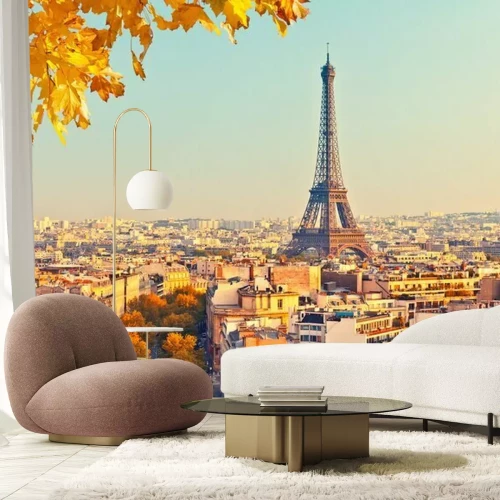 Papier peint  Vue sur la tour Eiffel au coucher du soleil