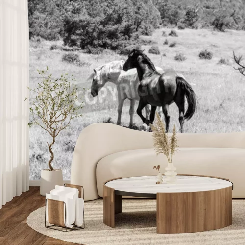 Papier peint  Image monochrome chevaux