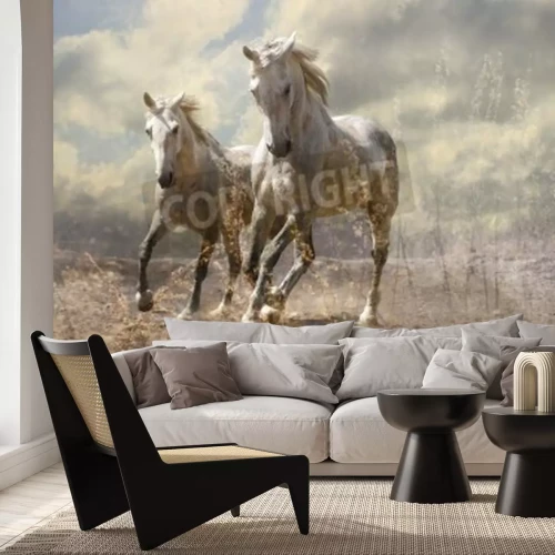 Papier peint  Chevaux qui courent dans le sable