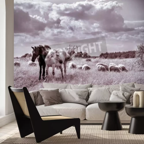 Papier peint  Dessin de chevaux style rétro