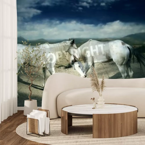 Papier peint  Chevaux blancs sur un chemin sablonneux