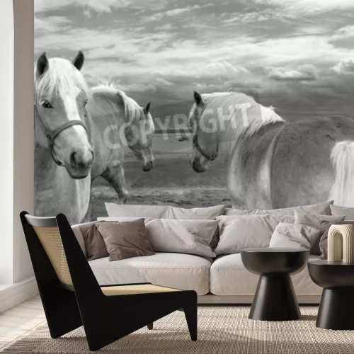 Papier peint  Chevaux sur fond de nuages