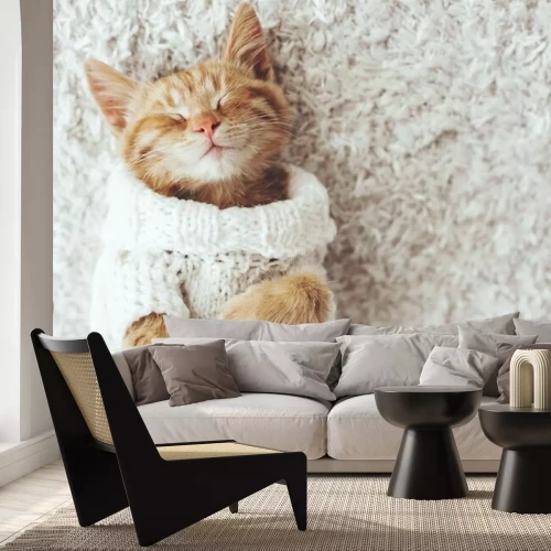 Papier peint  Gigner chaton