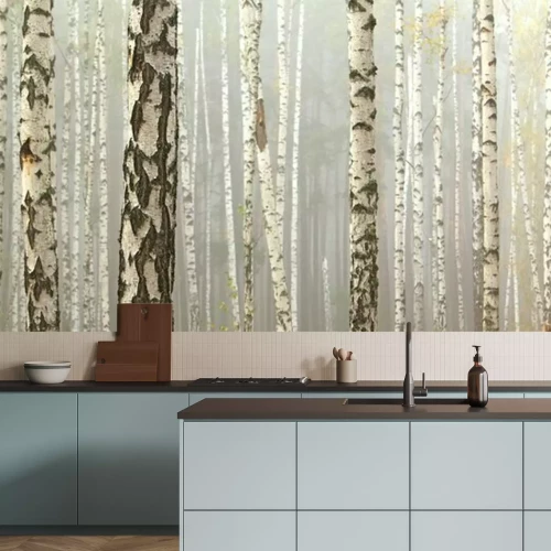 Papier peint  Bosquet de bouleaux et de l'herbe sèche en début d'automne, tomber panorama