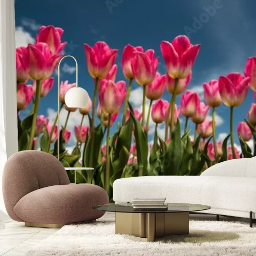 Papier peint  Tulipes en fleurs