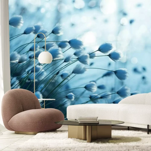 Papier peint  Cotonnier bleu