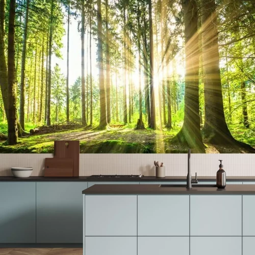 Papier peint  Panorama avec forêt ensoleillée