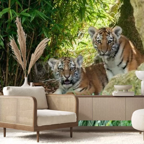 Papier peint  Deux bébés tigres dans la grotte