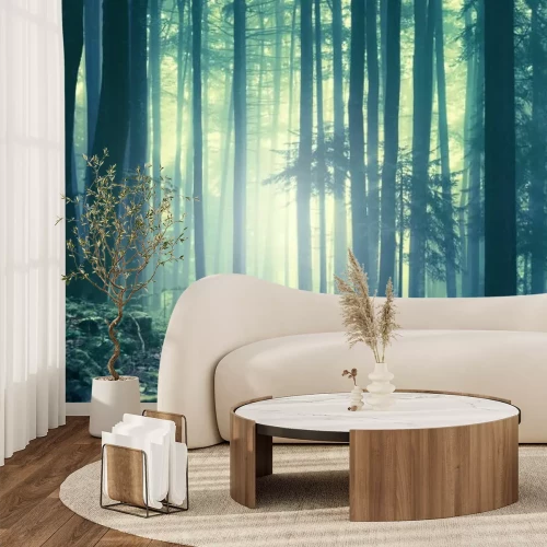 Papier peint  Paysage forestier brumeux le matin