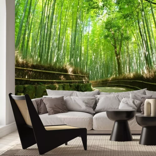 Papier peint  Chemin à travers la forêt de bambous