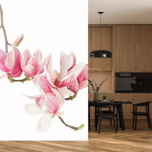 Papier peint  Magnolia avec fleurs roses