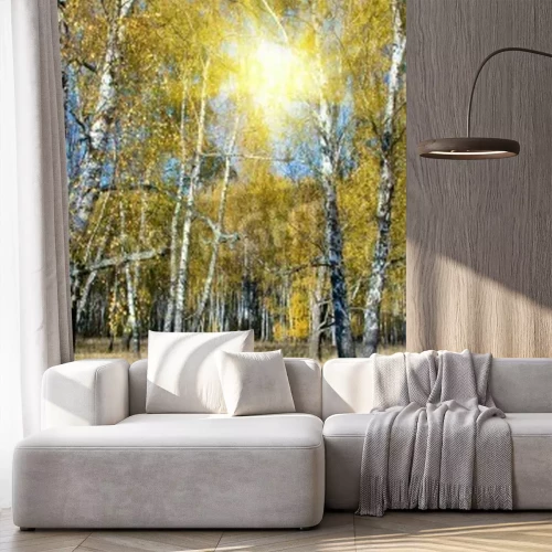 Papier peint  Bouleaux et soleil dans le ciel