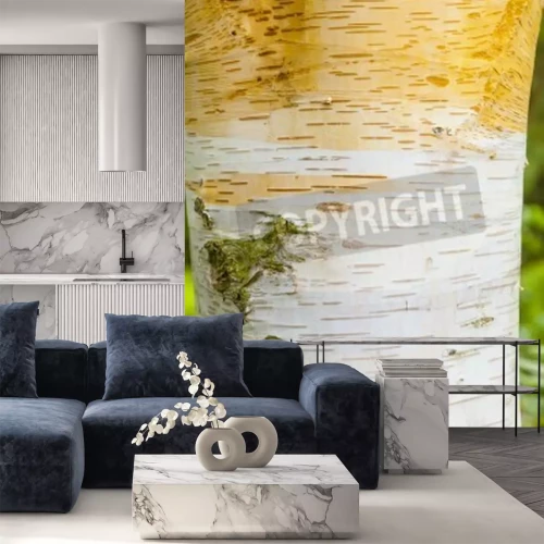 Papier peint  Écorce de bouleau blanc