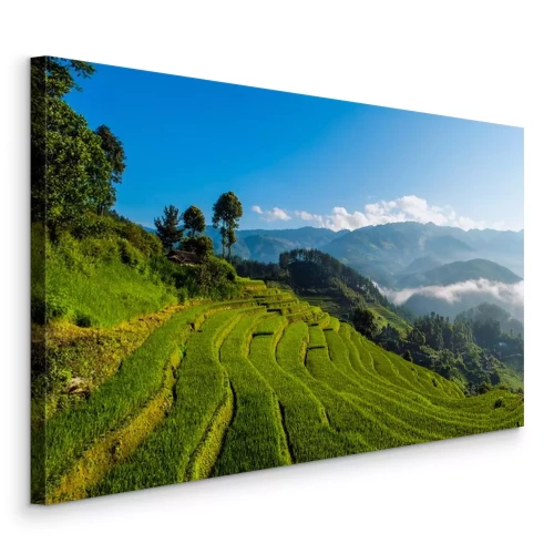 Visualisation du produit