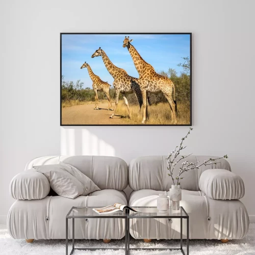 Visualisation du produit