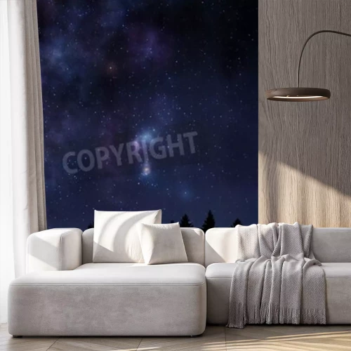 Papier peint  Forêt et ciel nocturne