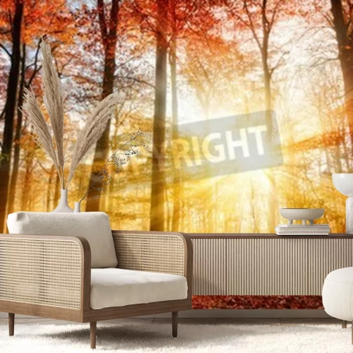 Papier peint  Lever de soleil dans la forêt d'automne